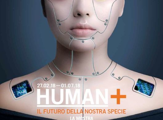 human